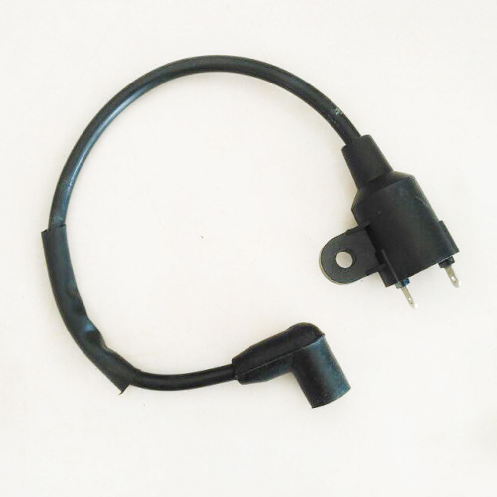 SP175105 Gasoline Generator Set 950W Ignition Coil بوبين موتير بنزين تايغر