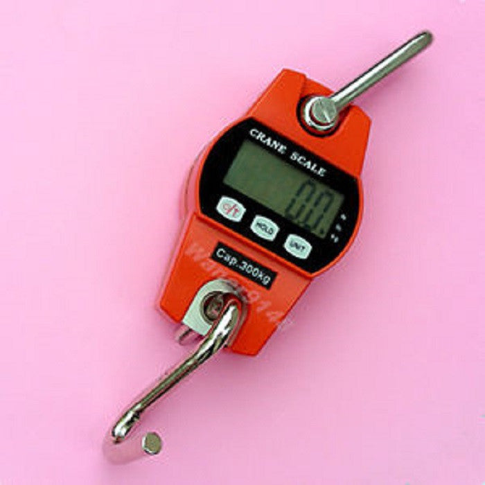 833133A Digital Scale Sf-916 300Kgs